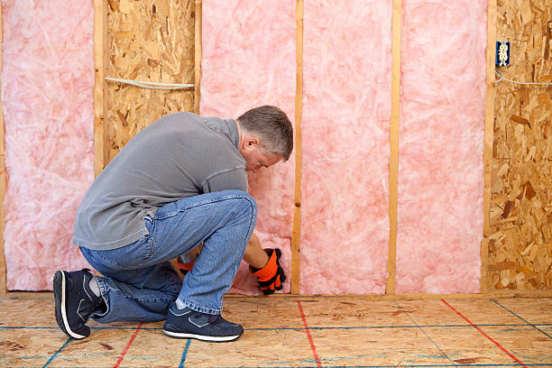 Best Types of Insulation in Mayville, NY